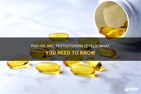 does fish oil increase testosterone